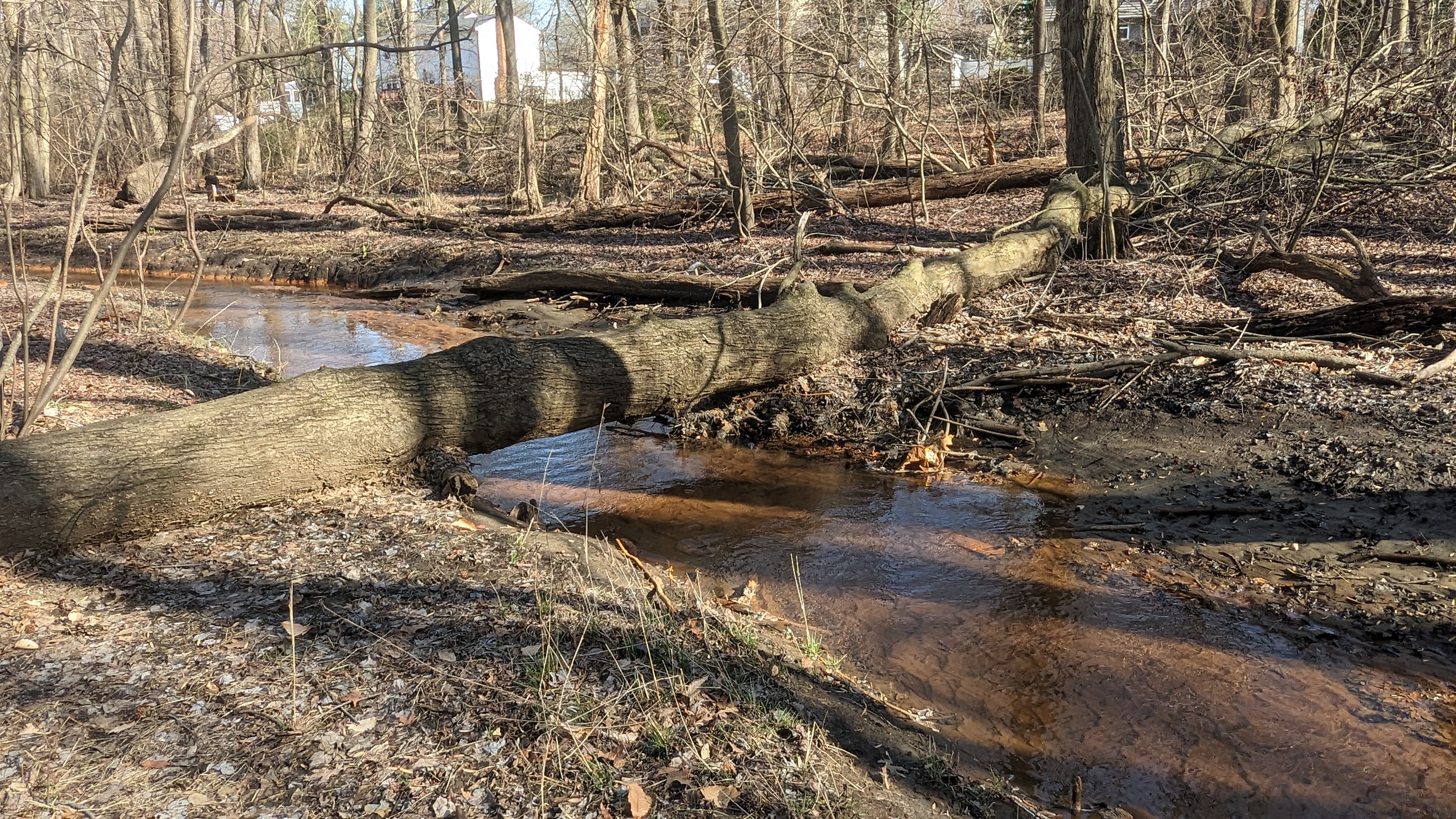 A log sitting over a creek